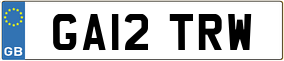 Truck License Plate